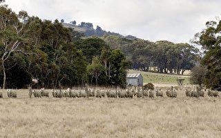 大陸財團競購澳洲巨型牧場 驚動澳國防部