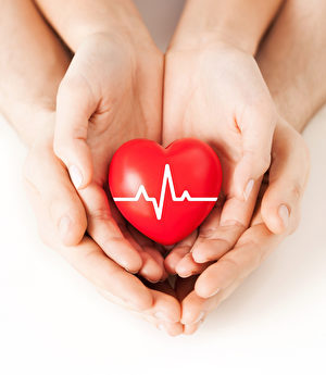 心脏 (fotolia) 心脏 (Fotolia)