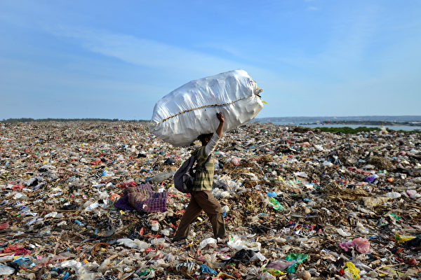 跨国研究团队研究发现，印尼每4条鱼中就有1条肠子中有塑胶垃圾。图为峇里岛上的登巴萨垃圾场。（SONNY TUMBELAKA/AFP） 