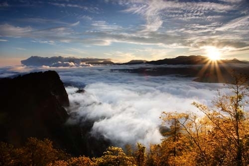 阿里山赏枫,观云海、日出。(饶瑞斌/台湾观光局提供) 阿里山赏枫,观云海、日出。(饶瑞斌/台湾观光局提供)