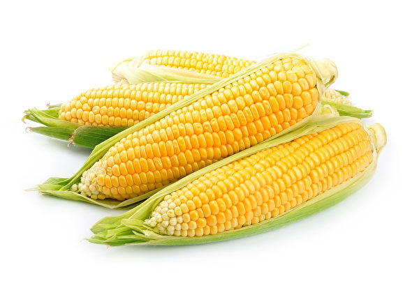 玉米（fotolia）