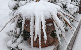 美中西部迎來首場大雪 感恩節出行需小心