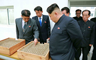 朝鲜展开新清洗运动 全国上下改发型