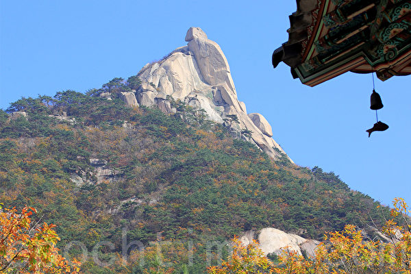 韩国京畿道北汉山国立公园,以其秀丽的山势及临近首都的优势,成为市民喜欢去的地方。10月末北汉山的秋景更是耀眼。(全宇/大纪元) 韩国京畿道北汉山国立公园,以其秀丽的山势及临近首都的优势,成为市民喜欢去的地方。10月末北汉山的秋景更是耀眼。(全宇/大纪元)