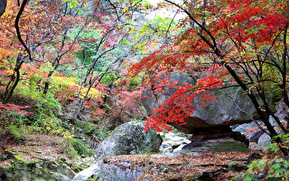 組圖：韓國北漢山國立公園 秋景美不勝收