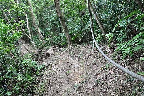 陡峭的下山路。拉着绳索攀降(图片提供:tony) 陡峭的下山路。拉着绳索攀降(图片提供:tony)