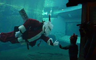 圣诞老人潜水问候圣诞快乐
