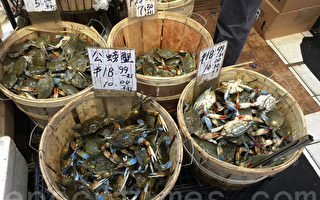 西岸螃蟹毒素超标 纽约“温哥华蟹”涨钱