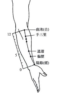 曲池穴(大紀元圖片) 曲池穴(大紀元圖片)