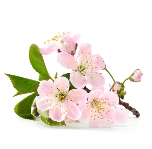 (Fotolia) (Fotolia)