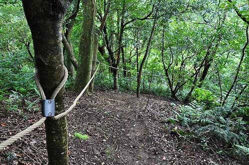 磐石岭登山步道棱线陡下路段(图片提供:tony) 磐石岭登山步道棱线陡下路段(图片提供:tony)
