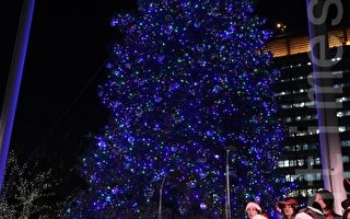 洛县音乐中心圣诞树灯亮起　