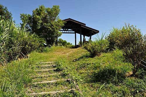 从登山口起登,步行300公尺,即轻松登顶狮公髻尾山。(图片提供:tony) 从登山口起登,步行300公尺,即轻松登顶狮公髻尾山。(图片提供:tony)