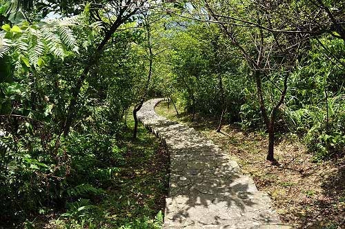 下山。走往籁狸尖山另一登山口。(图片提供:tony) 下山。走往籁狸尖山另一登山口。(图片提供:tony)