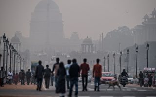 印度高院頒禁令 應對首都空氣污染