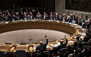 聯合國安理會通過敘利亞和平進程協議