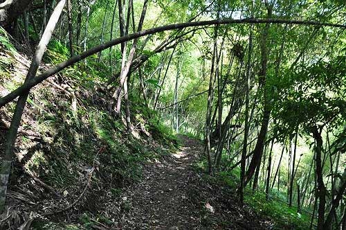 猴崁古道离开水圳,山路农径通往竹子湖。(图片提供:tony) 猴崁古道离开水圳,山路农径通往竹子湖。(图片提供:tony)