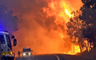西澳野火延燒5萬公頃 摧毀近百屋