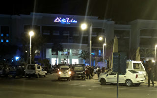 埃及一酒店遭袭击 三外国游客受伤