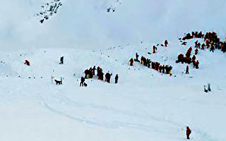 法阿尔卑斯山发生雪崩 至少3死3重伤