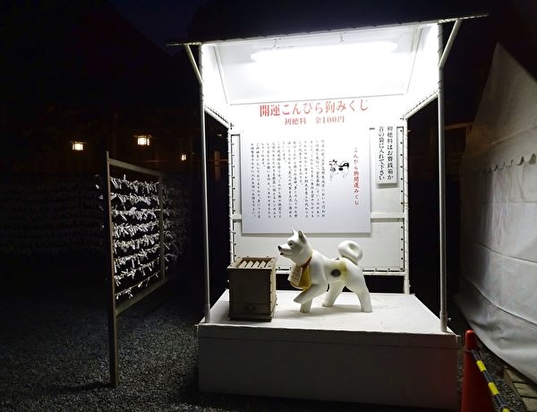 金刀比罗犬(王知涵/大纪元) 金刀比罗犬(王知涵/大纪元)