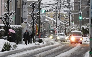 暴風雪襲日本東京169人受傷 陸空交通大亂