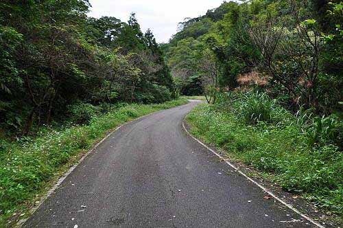 平湖森林游乐区环山道路(昔日的番仔坑古道)。(图片提供:tony) 平湖森林游乐区环山道路(昔日的番仔坑古道)。(图片提供:tony)