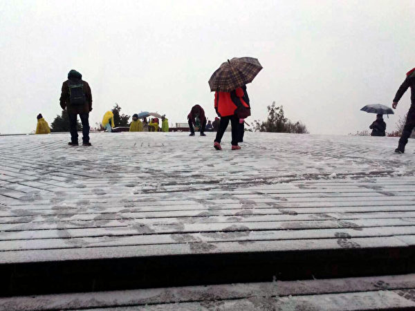 阿里山森林游乐区的小笠原山于24日上午开始在飘雪,纷飞的雪花让在山上的游客相当兴奋。(嘉义林管处提供) 阿里山森林游乐区的小笠原山于24日上午开始在飘雪,纷飞的雪花让在山上的游客相当兴奋。(嘉义林管处提供)