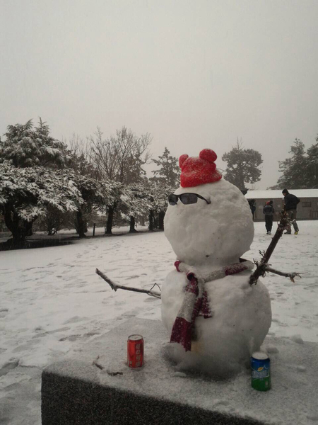 台中市大雪山林道49公里处,24日凌晨开始下雪,降雪的海拔区域不断往下,43K至35k都传出下雪消息,民众开心玩起堆雪人游戏。(东势林管处提供) 台中市大雪山林道49公里处,24日凌晨开始下雪,降雪的海拔区域不断往下,43K至35k都传出下雪消息,民众开心玩起堆雪人游戏。(东势林管处提供)