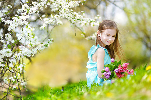 在盛开的樱花园可爱的小女孩拿着郁金香(fotolia) 在盛开的樱花园可爱的小女孩拿着郁金香(fotolia)