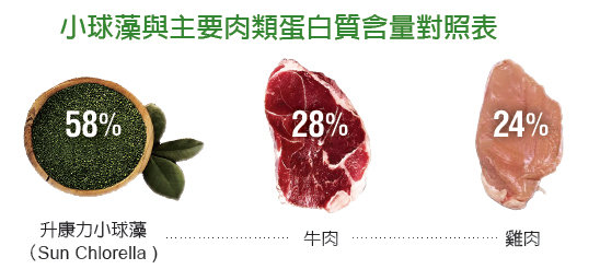 蛋白质含量对照表。(大纪元) 蛋白质含量对照表。(大纪元)