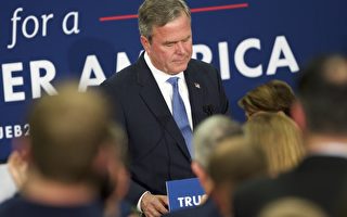 美南卡初選後 傑布‧布什宣布退出總統競選