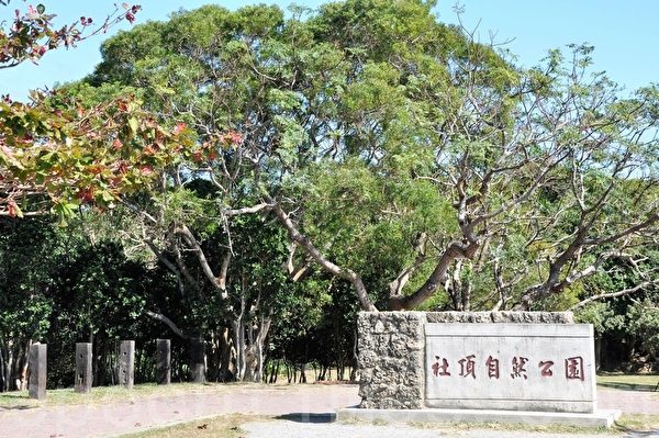 社顶自然公园拥有珊瑚礁岩、热带雨林、和草原等3大景观。(李晴玳/大纪元) 社顶自然公园拥有珊瑚礁岩、热带雨林、和草原等3大景观。(李晴玳/大纪元)