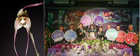 “2016台湾国际兰展”12日至21日在台湾兰花生物科技园区举行，引进猴面兰为猴年应景。农委会预计今年起3年所办的展，可带来新台币逾100亿元外销商机。（台南市提供）
