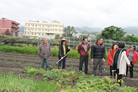 长青学苑种菜做公益体验田园乐趣。(郭千华/大纪元)