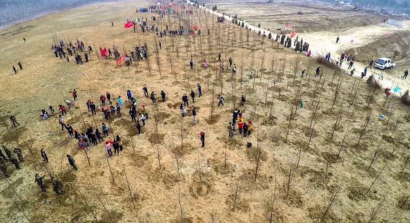 2016年3月12日植树节，山东日照5万人植树。(Photo by ChinaFotoPress/ChinaFotoPress via Getty Images)