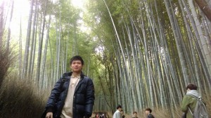 京都宇治的竹林很漂亮。(黄渝晟/提供)