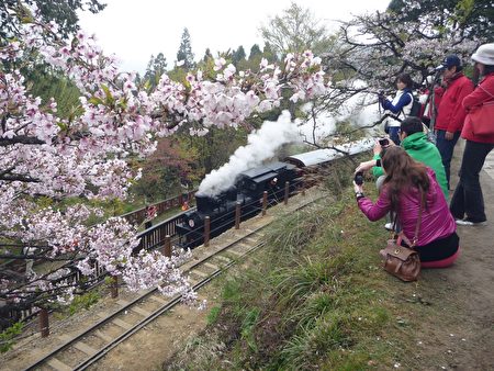 台鐵3日表示,為了反映成本,阿里山小火車票價將於5月1日起大幅調漲,大約貴五成到1倍。(李擷瓔/大紀元)
