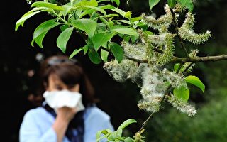 花粉过敏首重预防 很少需要注射激素