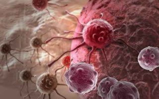 巴西研究癌症新疗法 专杀坏细胞