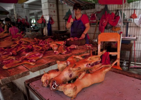 玉林一名屠夫正在斩切狗肉。(STR / AFP)
