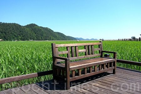 韩国海浪号火车之旅 韩国海浪号火车之旅