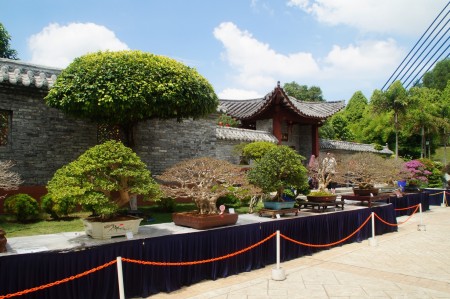 马来西亚年度花卉盛会“2016年布城皇家花卉园艺节”在布城第四区隆重举行。图为今年首次特别增加的盆景和奇石展。(杨晓慧/大纪元)
