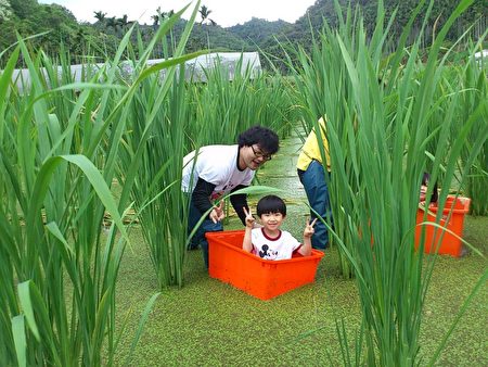 下田趣,小孩子特制小船。(林宥岑提供)