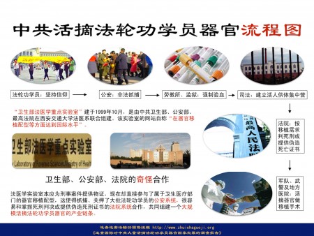图说:中共活摘法轮功学员器官流程图(追查国际提供)