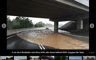 澳洲東海岸遭暴風驟雨 紐省收到3800援電話
