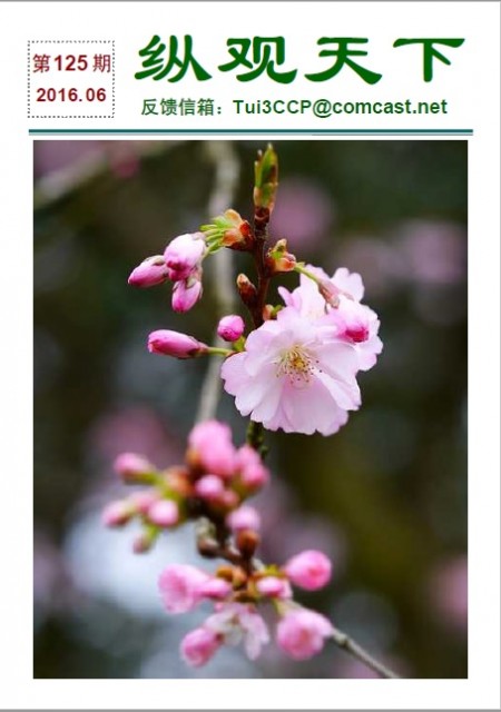 縱觀天下(2016年6月)