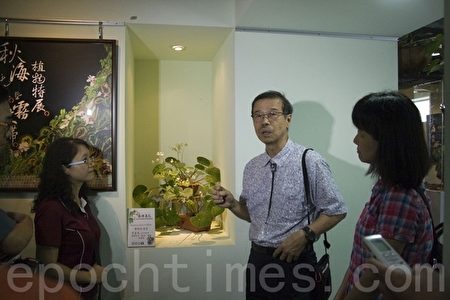 彭镜毅博士诉说秋海棠的故事。(彭秋燕/大纪元)