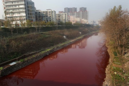 河南洛陽澗河水變紅成為中共環保無作為釀成惡果的典型案例。(Getty Images)