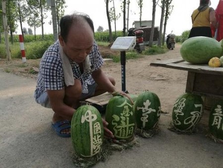河南一农村教师无意间在自家出售的西瓜写字,打开销售西瓜的市场,同时也网红了一把。(网络图片)